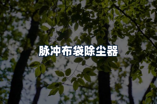 脉冲布袋除尘器